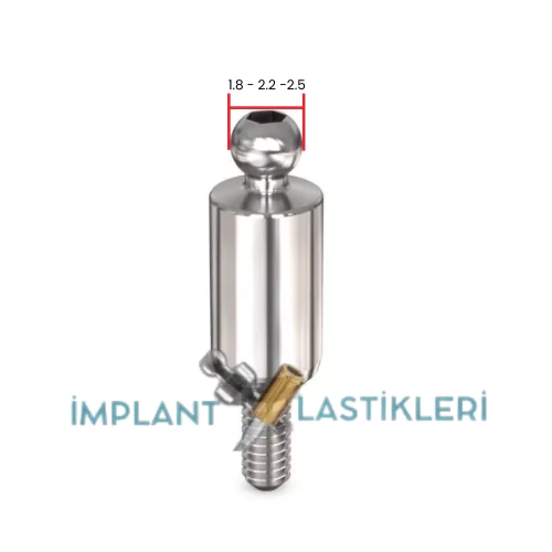 Kaliteli İmplant Lastikleri - Ball Attachment Lastikleri - Locator Lastikleri