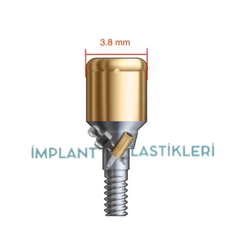 Kaliteli İmplant Lastikleri - Ball Attachment Lastikleri - Locator Lastikleri